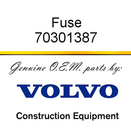 Fuse 70301387