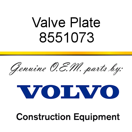 Valve Plate 8551073