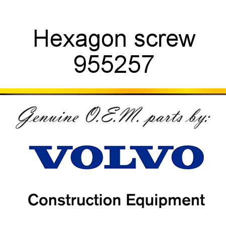 Hexagon screw 955257