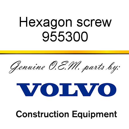 Hexagon screw 955300