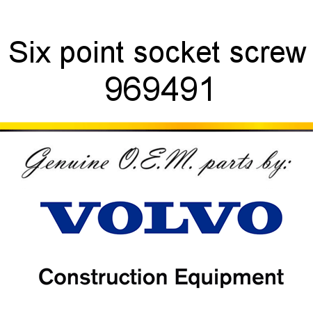 Six point socket screw 969491