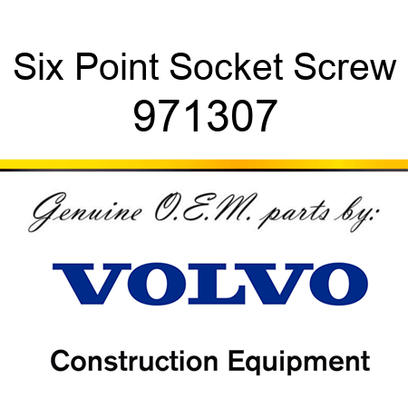 Six Point Socket Screw 971307