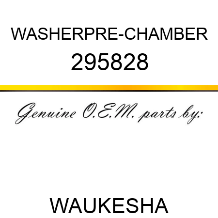 WASHER,PRE-CHAMBER 295828
