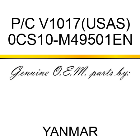 P/C V1017(US,AS) 0CS10-M49501EN