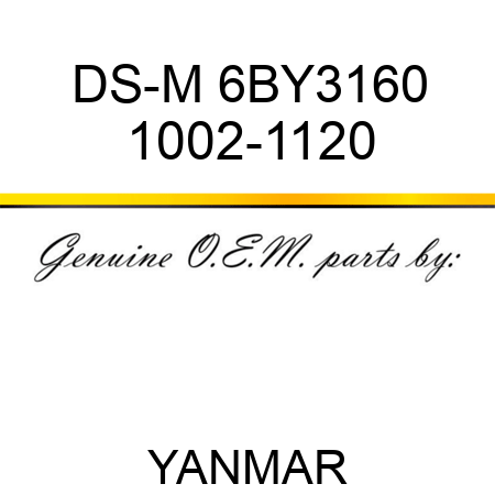 DS-M 6BY3160 1002-1120