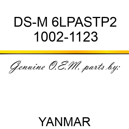 DS-M 6LPASTP2 1002-1123