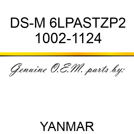 DS-M 6LPASTZP2 1002-1124