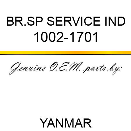 BR.SP SERVICE IND 1002-1701