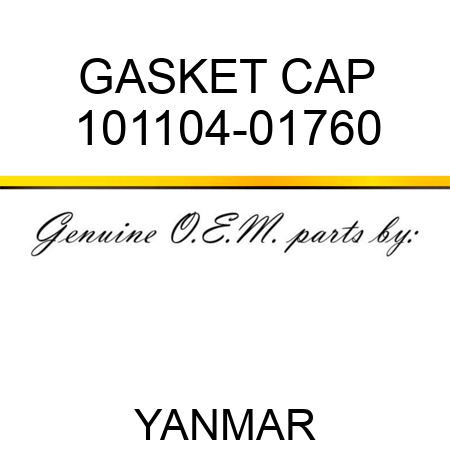 GASKET, CAP 101104-01760