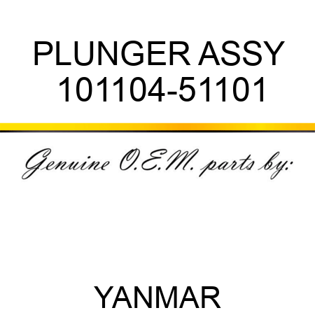 PLUNGER ASSY 101104-51101