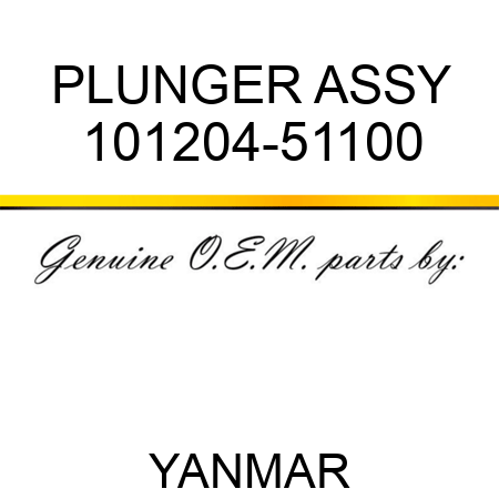 PLUNGER ASSY 101204-51100