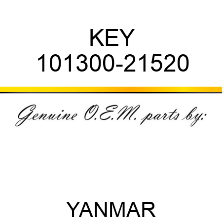 KEY 101300-21520