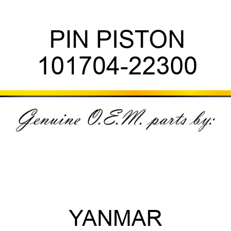 PIN, PISTON 101704-22300