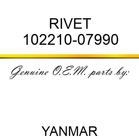 RIVET 102210-07990