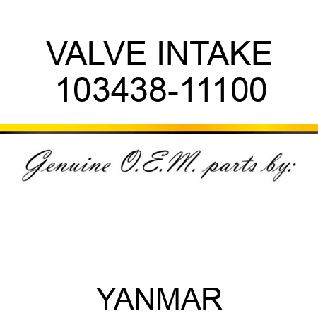 VALVE, INTAKE 103438-11100