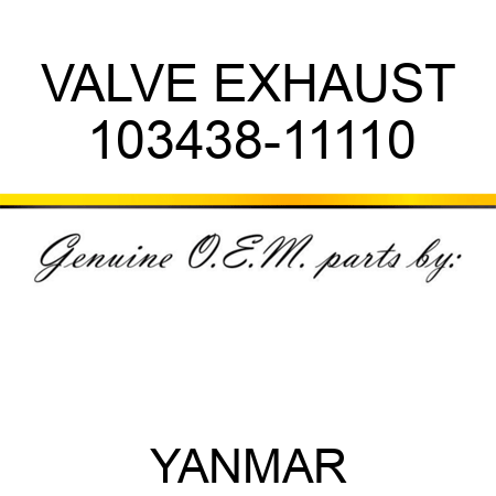 VALVE, EXHAUST 103438-11110