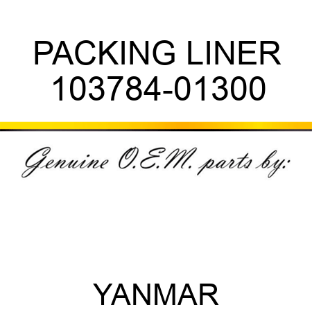 PACKING, LINER 103784-01300