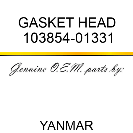 GASKET, HEAD 103854-01331