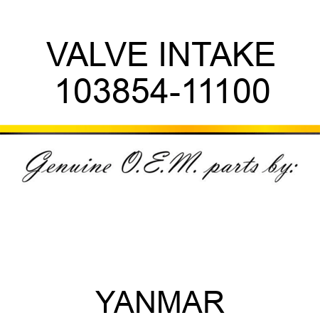 VALVE, INTAKE 103854-11100