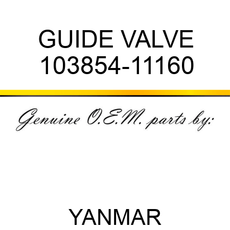 GUIDE, VALVE 103854-11160