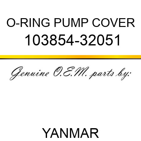 O-RING, PUMP COVER 103854-32051