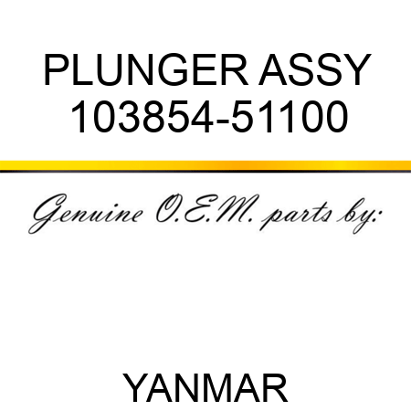 PLUNGER ASSY 103854-51100