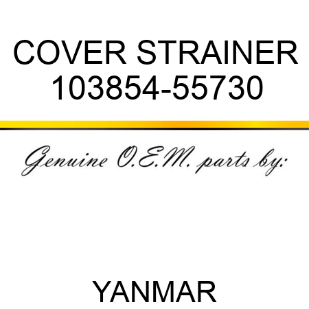 COVER, STRAINER 103854-55730