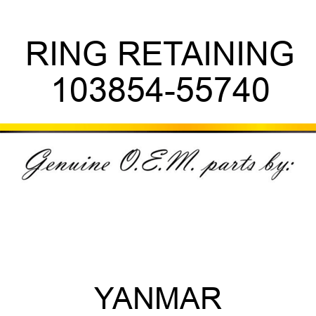 RING, RETAINING 103854-55740