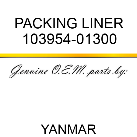 PACKING, LINER 103954-01300