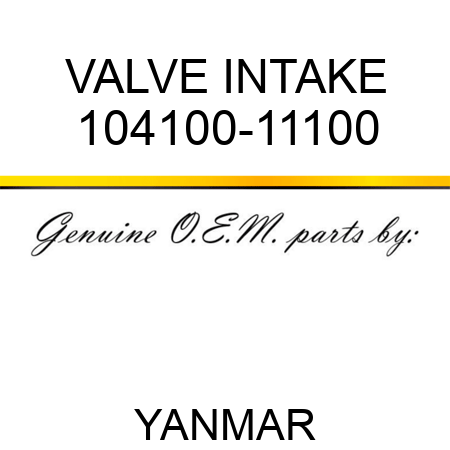 VALVE, INTAKE 104100-11100