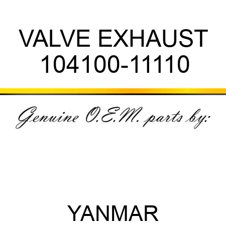VALVE, EXHAUST 104100-11110