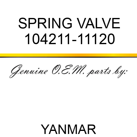 SPRING, VALVE 104211-11120