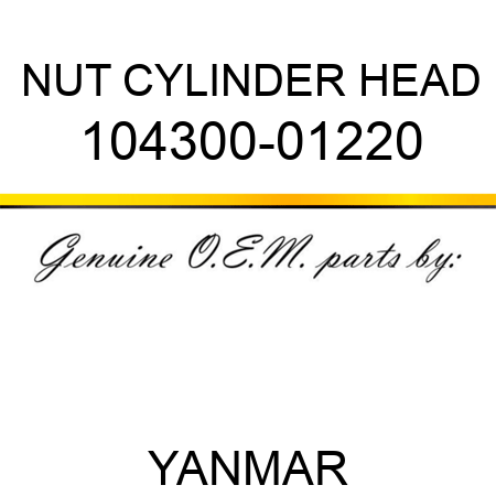 NUT, CYLINDER HEAD 104300-01220