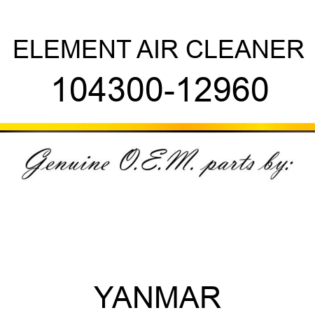 ELEMENT, AIR CLEANER 104300-12960