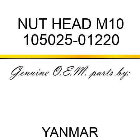 NUT, HEAD M10 105025-01220