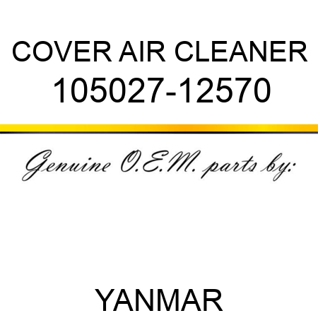COVER, AIR CLEANER 105027-12570