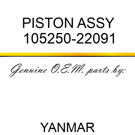 PISTON ASSY 105250-22091