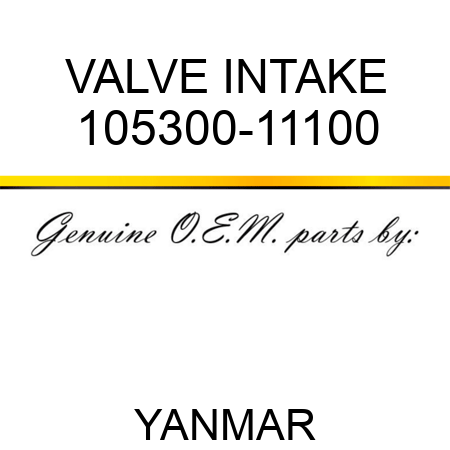 VALVE, INTAKE 105300-11100
