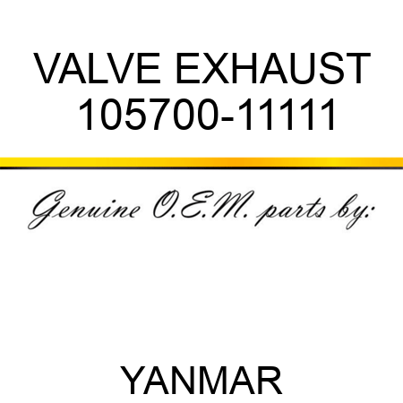 VALVE, EXHAUST 105700-11111