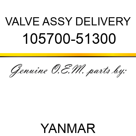 VALVE ASSY, DELIVERY 105700-51300