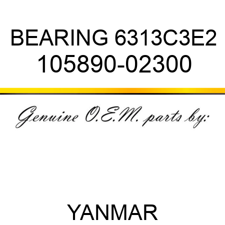 BEARING, 6313C3E2 105890-02300