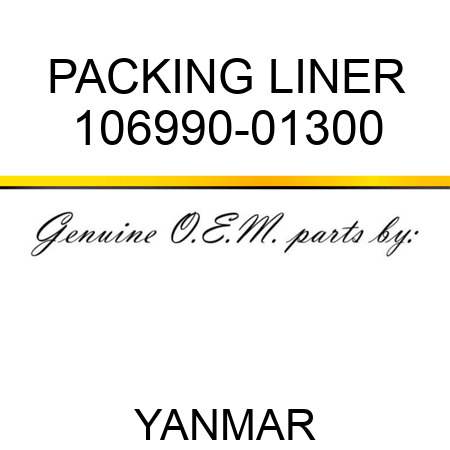 PACKING, LINER 106990-01300