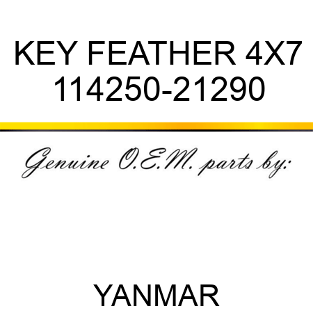 KEY, FEATHER 4X7 114250-21290