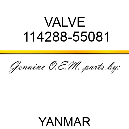 VALVE 114288-55081