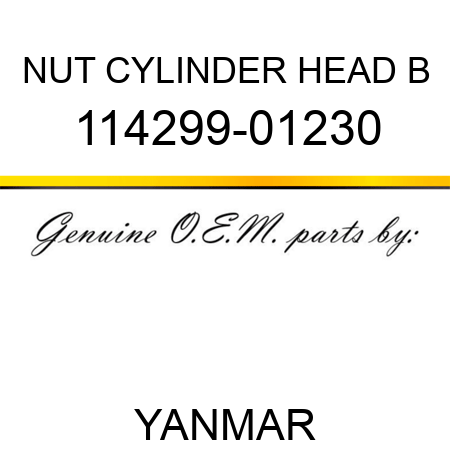 NUT, CYLINDER HEAD B 114299-01230