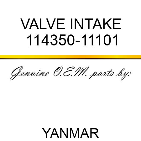 VALVE, INTAKE 114350-11101