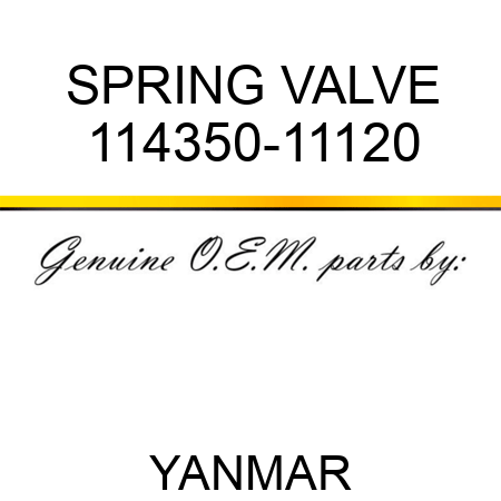 SPRING, VALVE 114350-11120