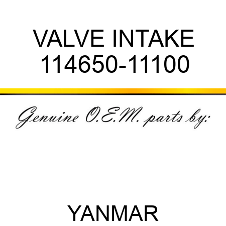 VALVE, INTAKE 114650-11100