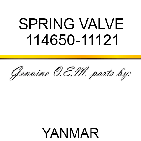 SPRING, VALVE 114650-11121