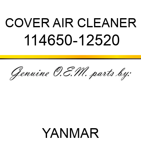 COVER, AIR CLEANER 114650-12520